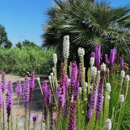 Hotell Oroverde Bergeggi