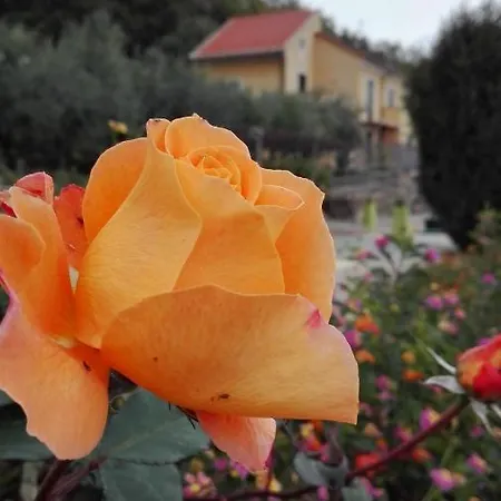 Отель Oroverde 3*