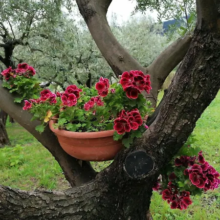 Hotel Oroverde Bergeggi