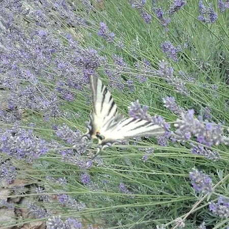 Oroverde 3* Bergeggi