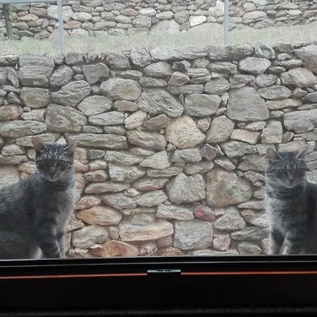 Отель Oroverde 3*