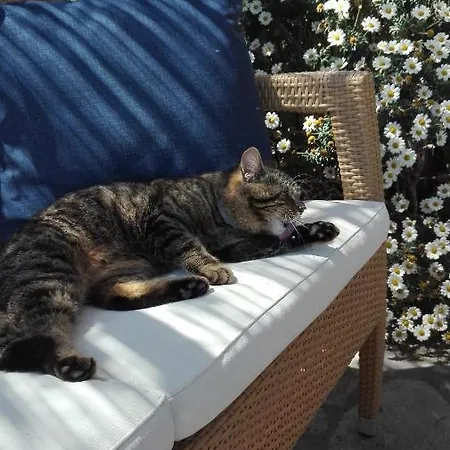 Hotell Oroverde Bergeggi