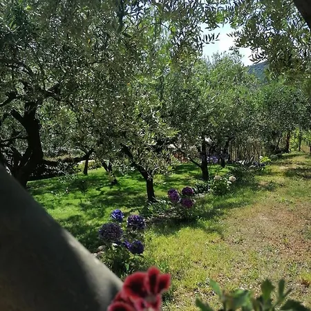 Oroverde 3* بيرغيجي