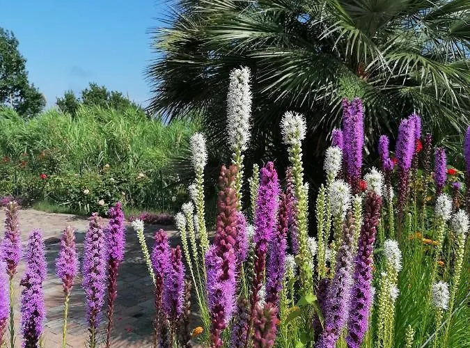 Hotel Oroverde Bergeggi