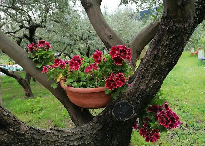 Hotel Oroverde Bergeggi